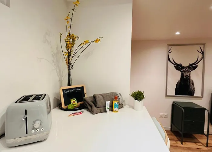 Le Charme Normand En Centre Appartement *